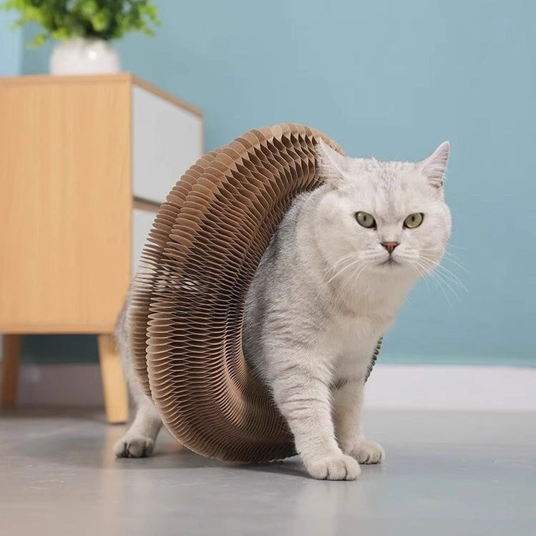 Harmonika kattetunnel – opscaleret til 1080x1080