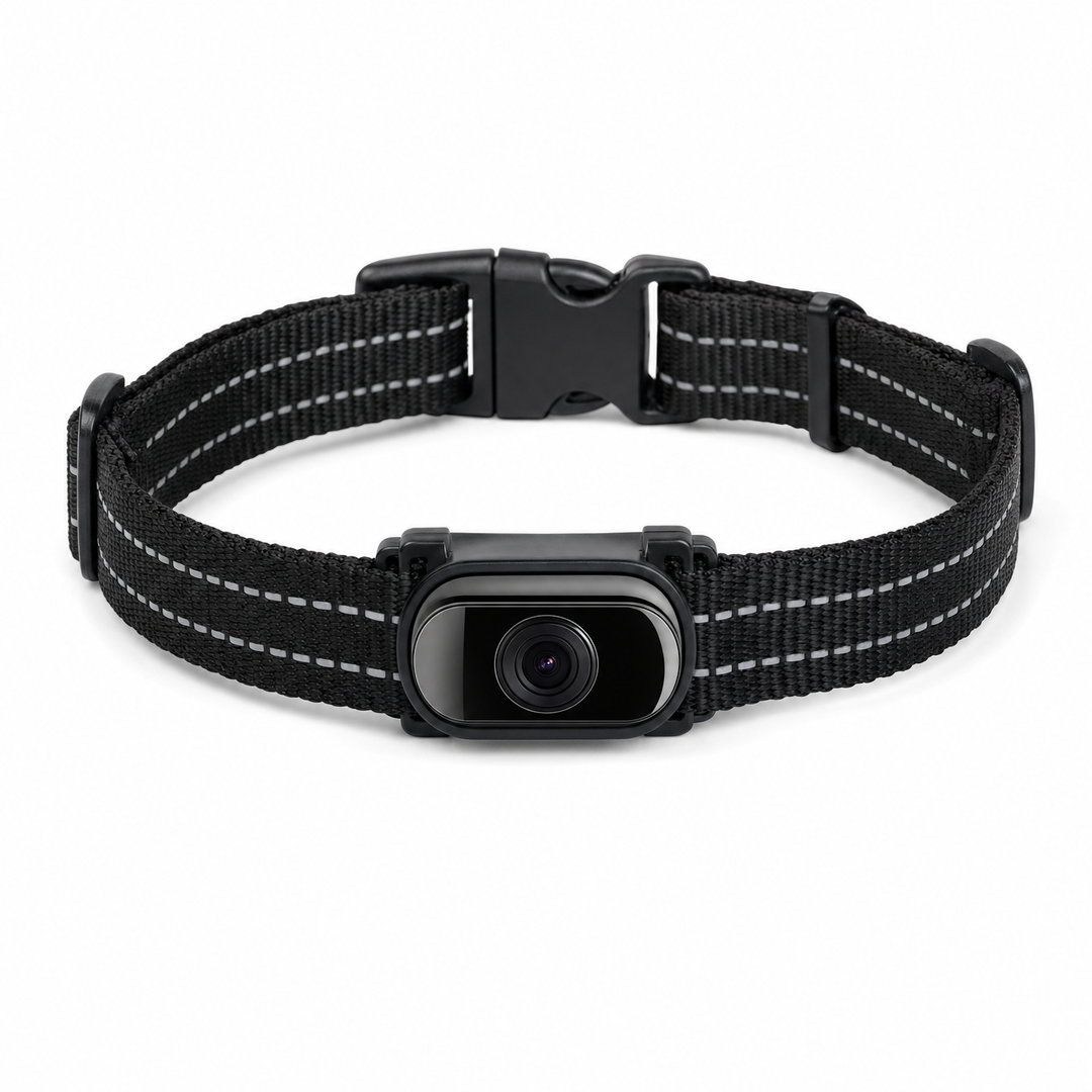 Kattekamera Halsband - produktbillede