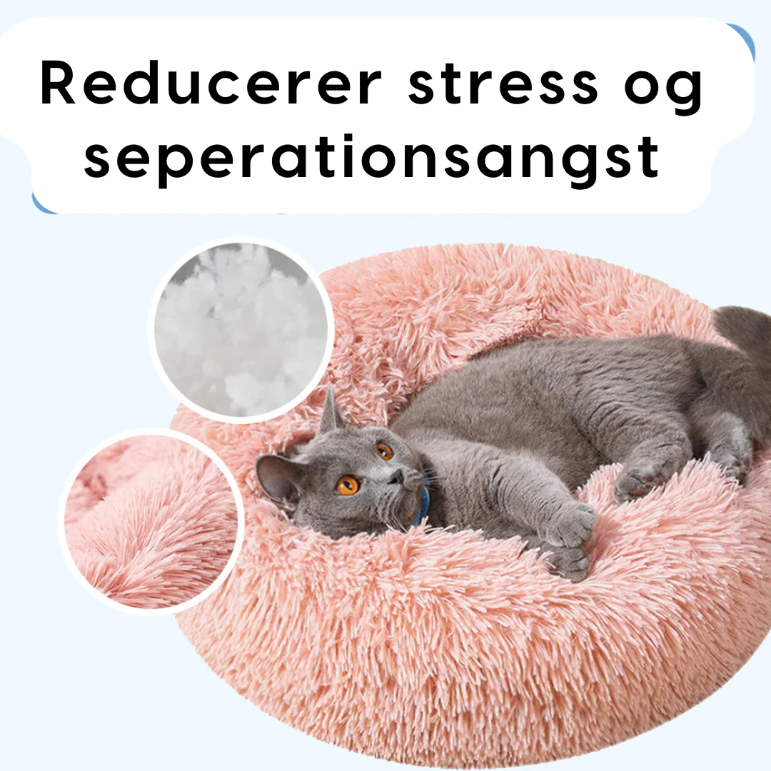 Kat sover trygt i beroligende katteseng – ultra-blød og varm soveplads