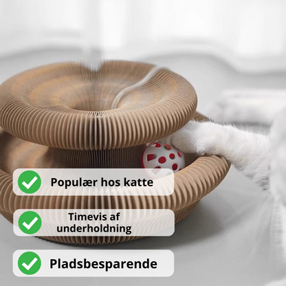 Kat leger i harmonika paptunnel – kan formes som ring eller slange