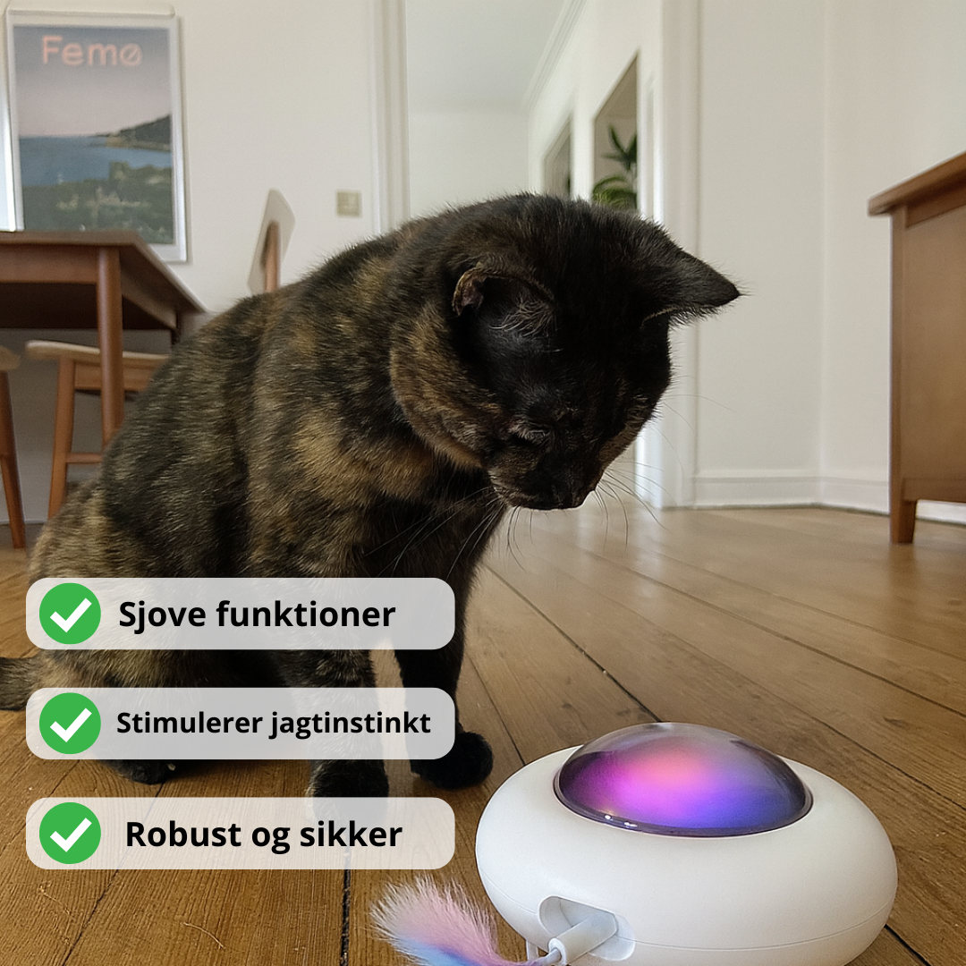 UFO kattelegetøj set ovenfra – holder katten aktiv alene hjemme