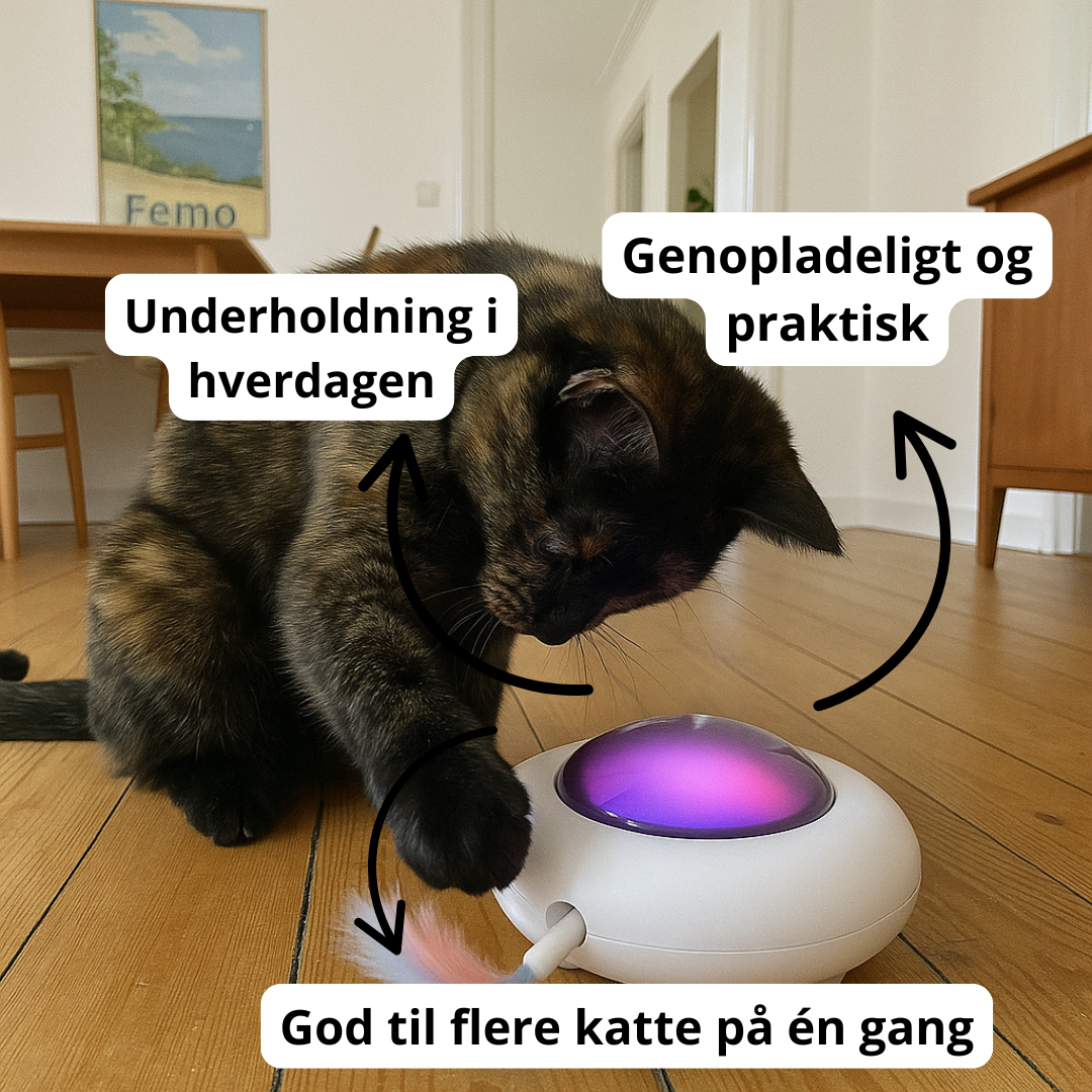 Interaktivt UFO legetøj i funktion – automatisk bevægelse underholder katten