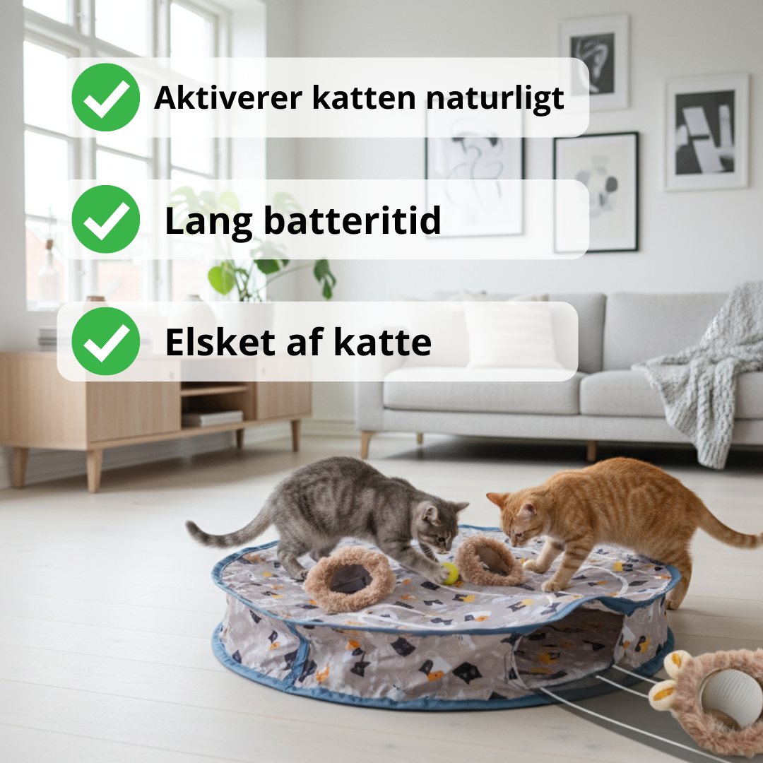 Kat leger på jagtmåtte – bruger snude og poter til at finde godbidder