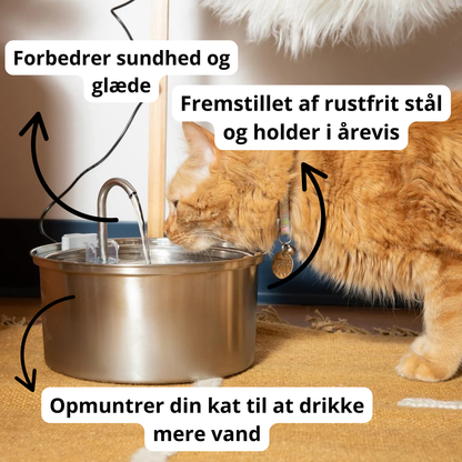 Kat drikker fra elektrisk drikkefontæne – forebygger nyreproblemer