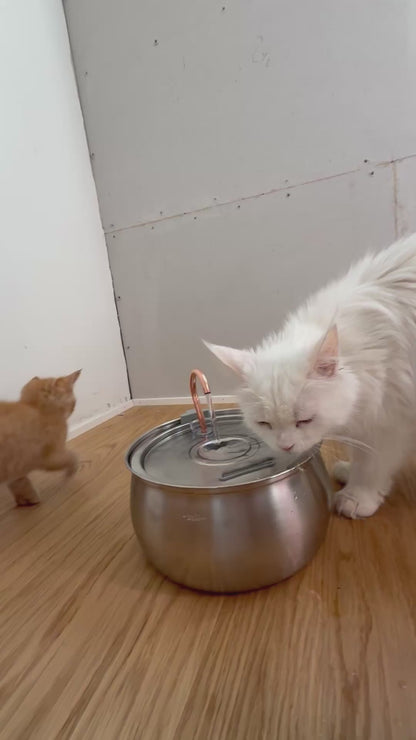 Katte drikkefontæne med kobberhane
